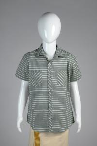 Junior Commando Boys Cotton Striped Half Sleeve Shirt - Shale Green  Snow White