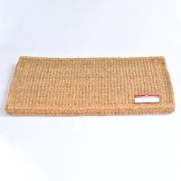 FM2 PRINTED PREMIUM COIR FLOOR MAT _ Welcome Pumpkin