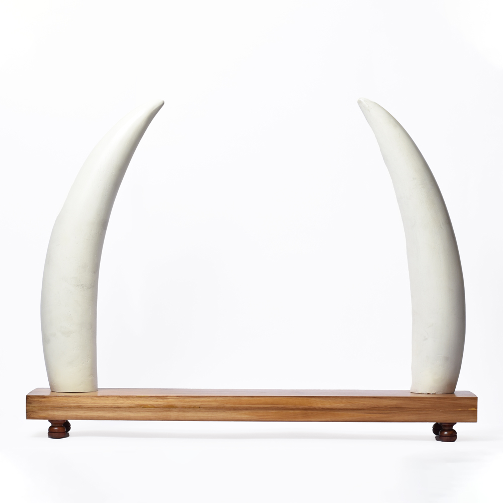 Elephant Tusk Replica