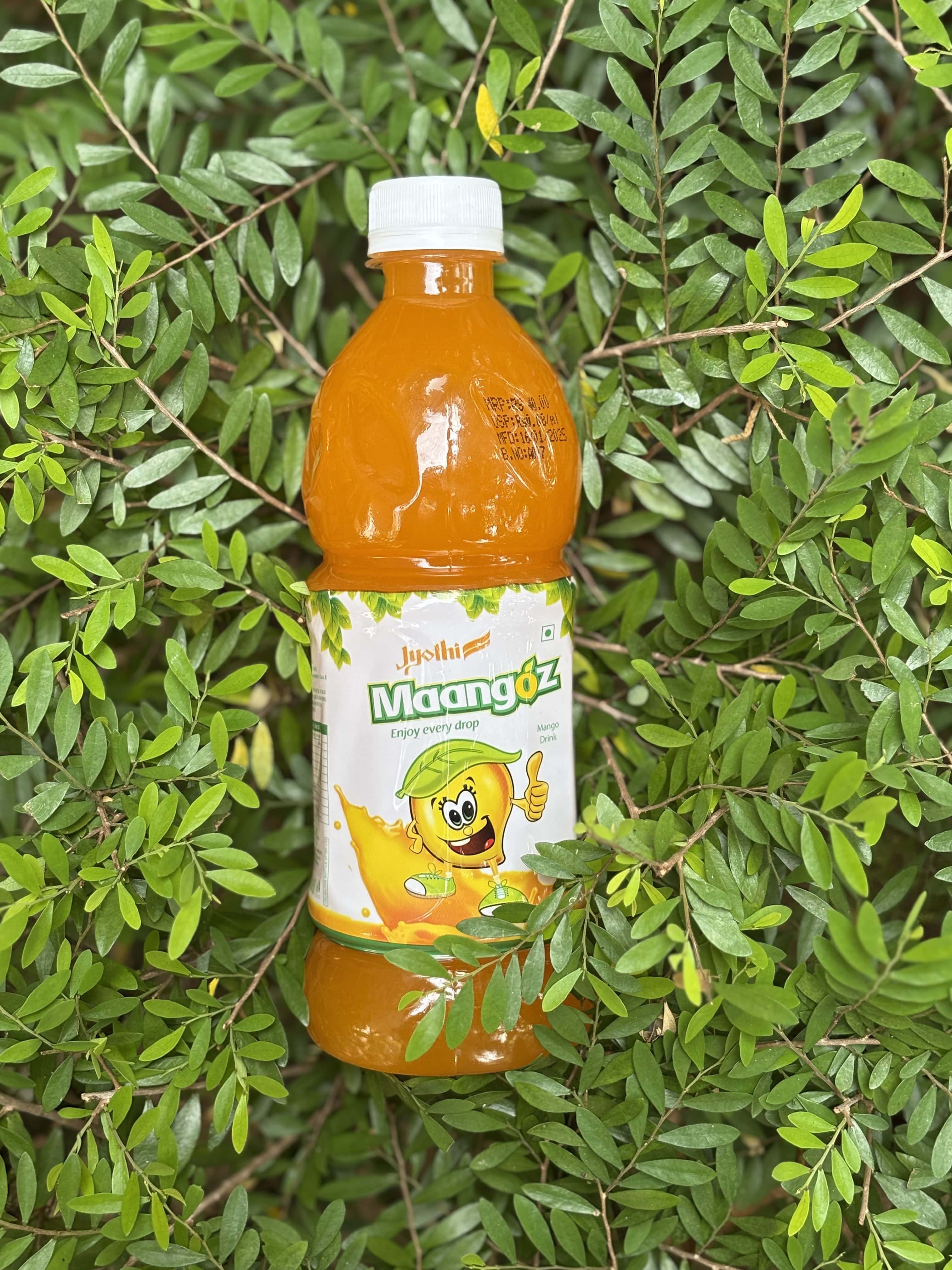 Mango Juice